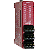 Red Lion, Modular Controller Series, CSRTD600, 6 Channel Input, RTD